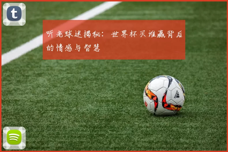 听老球迷揭秘:世界杯买谁赢背后的情感与智慧