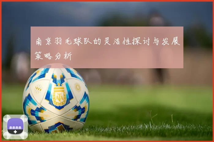 南京羽毛球队的灵活性探讨与发展策略分析