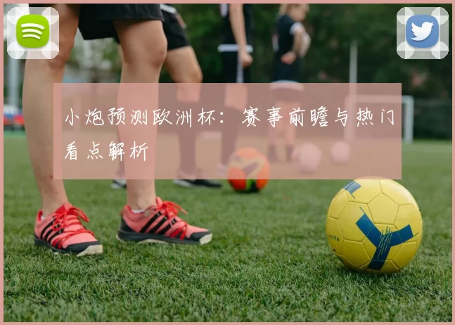 小炮预测欧洲杯:赛事前瞻与热门看点解析