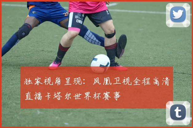 独家视角呈现:凤凰卫视全程高清直播卡塔尔世界杯赛事