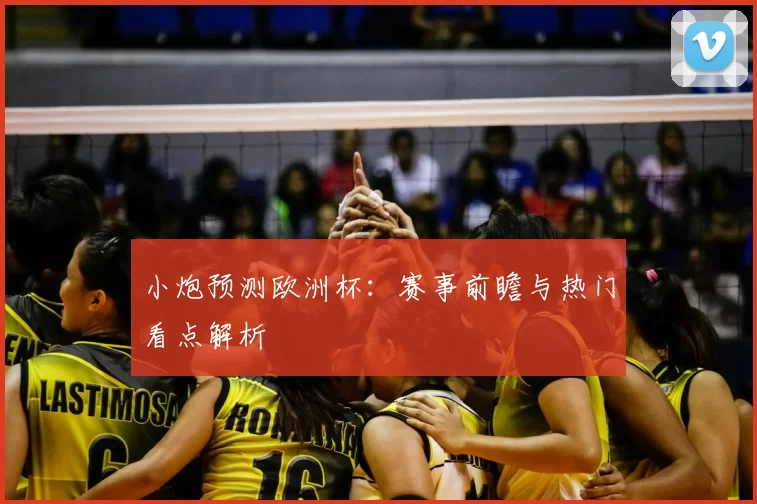小炮预测欧洲杯：赛事前瞻与热门看点解析