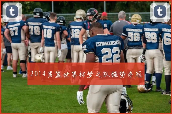 2014男篮世界杯梦之队强势夺冠