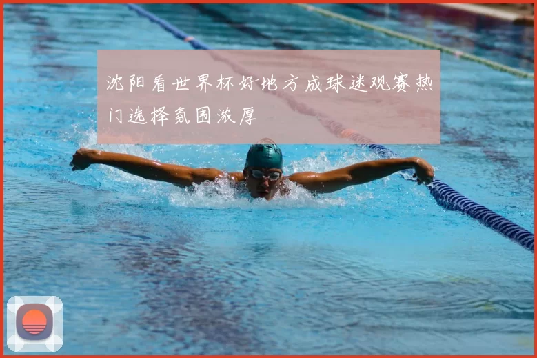 沈阳看世界杯好地方成球迷观赛热门选择氛围浓厚
