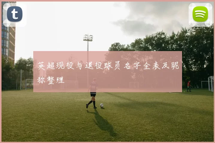 英超现役与退役球员名字全表及昵称整理