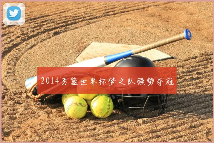 2014男篮世界杯梦之队强势夺冠
