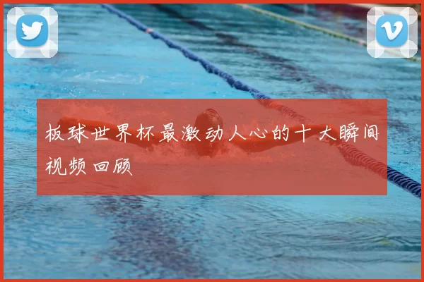 板球世界杯最激动人心的十大瞬间视频回顾