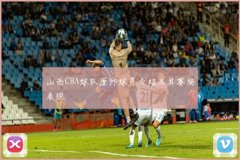 山西CBA球队原帅球员介绍及其赛场表现