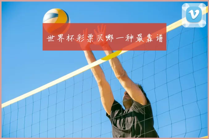 世界杯彩票买哪一种最靠谱