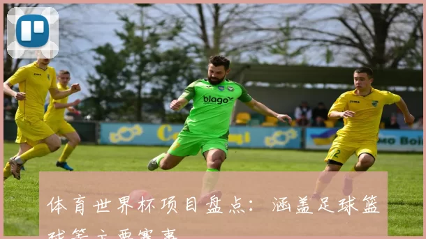 体育世界杯项目盘点:涵盖足球篮球等主要赛事