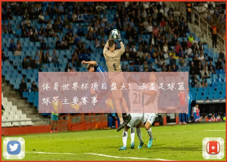 体育世界杯项目盘点:涵盖足球篮球等主要赛事