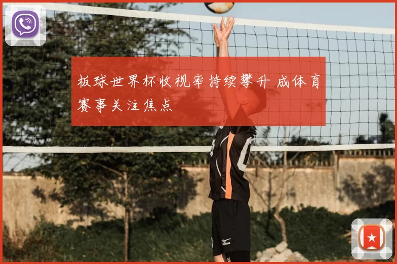 板球世界杯收视率持续攀升 成体育赛事关注焦点