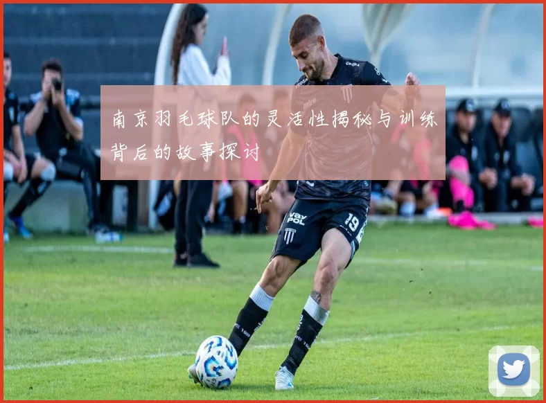 南京羽毛球队的灵活性揭秘与训练背后的故事探讨