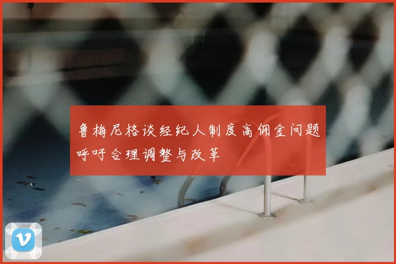鲁梅尼格谈经纪人制度高佣金问题呼吁合理调整与改革