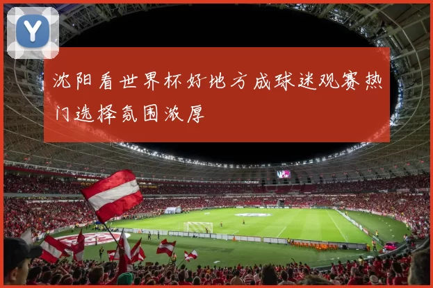 沈阳看世界杯好地方成球迷观赛热门选择氛围浓厚