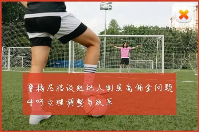 鲁梅尼格谈经纪人制度高佣金问题呼吁合理调整与改革