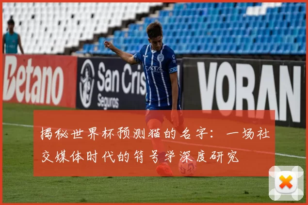 揭秘世界杯预测猫的名字：一场社交媒体时代的符号学深度研究